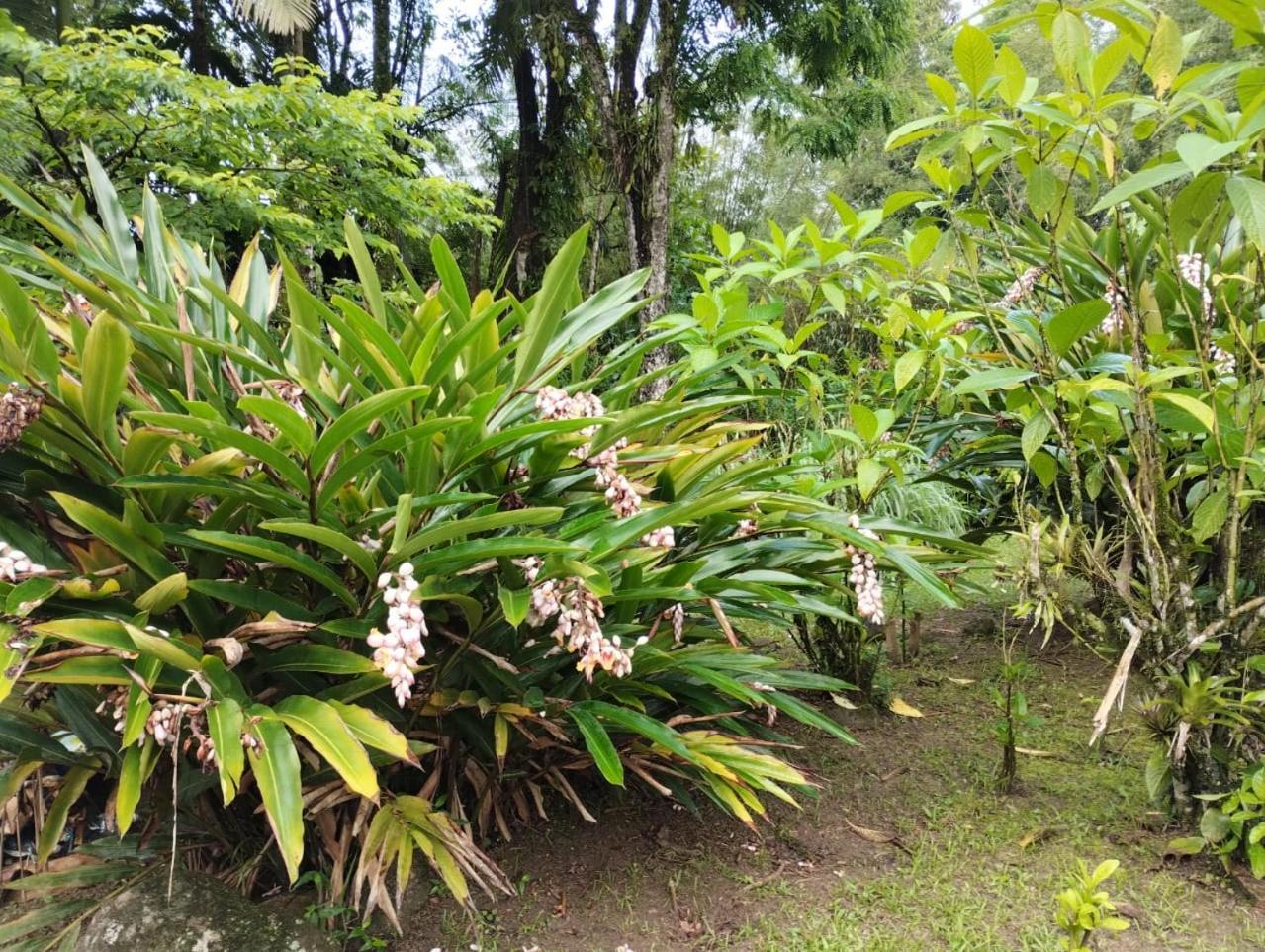 Pousada Morretes Arraial Екстер'єр фото