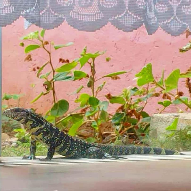 Pousada Morretes Arraial Екстер'єр фото